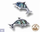 Paua-Muschel - Ohrstecker Delfin