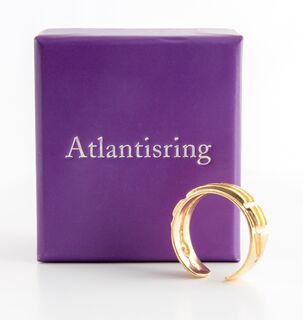 Atlantisring vergoldet (Damengre)