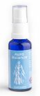 Berk Loslassen - Energiespray 30 ml