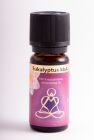 Berk Ätherisches Öl Eukalyptus, B 10 ml