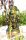 Berk Figur  Hanuman 13 cm