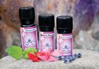 Holy Scents Ätherisches Öl - Benzoe Siam Ws 5 ml