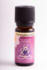 Holy Scents therisches l - Eukalyptus kbA 10 ml