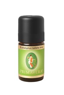 Eukalyptus radiata bio therisches l 5,0 ml