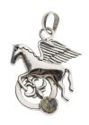 Berk Anhänger Pegasus
