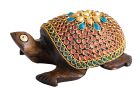 Berk Zauberschildkröte, klein