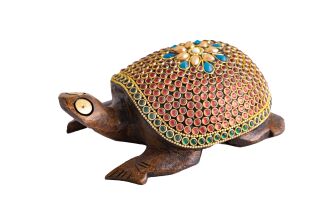 Berk Zauberschildkröte, groß