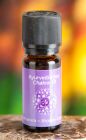 Berk Kronen-Chakra - Chakra-Öl 10 ml