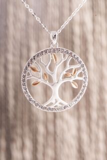 Berk Yggdrasil, Anhänger