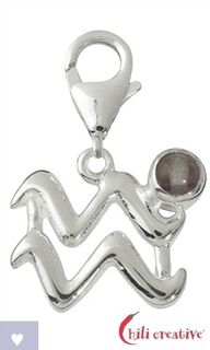 Astro-Charms Zodiak Wassermann